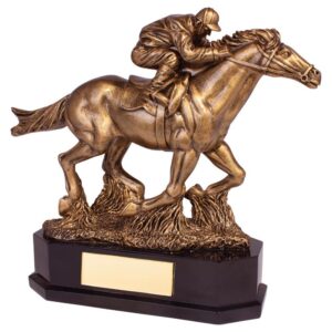 Aintree Equestrian Racing Horse Award - Engrave Express