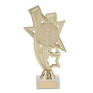 Apollo Gold Multi-Sport Trophy - Cornish Custom Creations