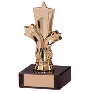 Aviator Star Gold Trophy - Cornish Custom Creations