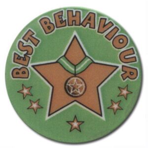 Best Behaviour Star 25mm - Cornish Custom Creations