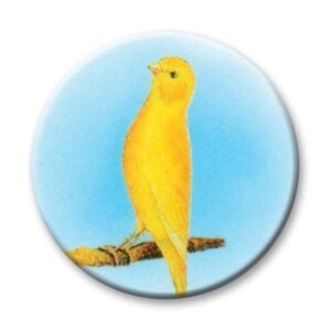 Birds - Canary 25mm - Cornish Custom Creations