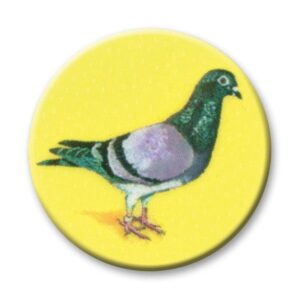 Birds-Pigeon Sitting - Cornish Custom Creations