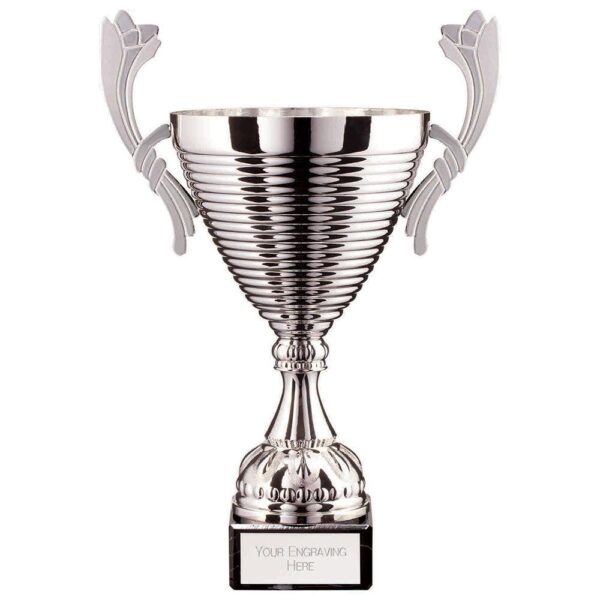 Cascade Cup Silver 260mm - Cornish Custom Creations