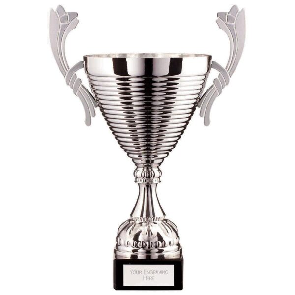 Cascade Cup Silver 350mm - Cornish Custom Creations
