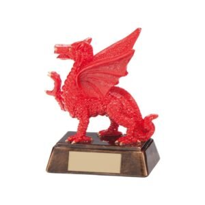 Celtic Dragon Award - Cornish Custom Creations