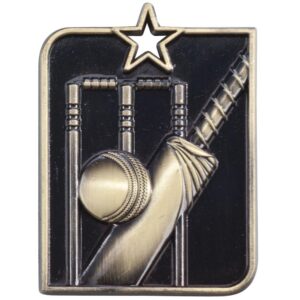 Centurion Star Series Cricket Medal Gold - Cornish Custom Creations