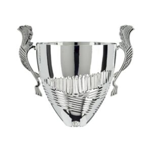 Champion Metal Super Cup Silver - Cornish Custom Creations