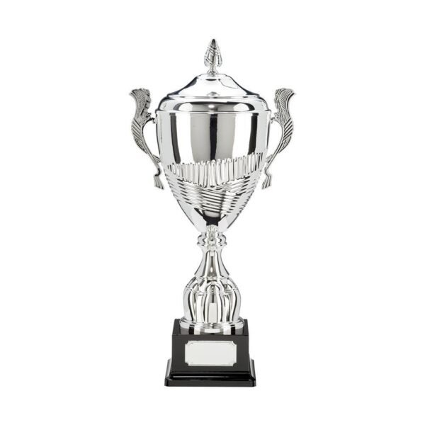 Champion Silver Super Cup & Lid - Cornish Custom Creations