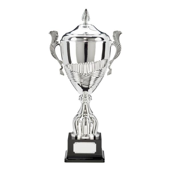Champion Silver Super Cup & Lid - Cornish Custom Creations