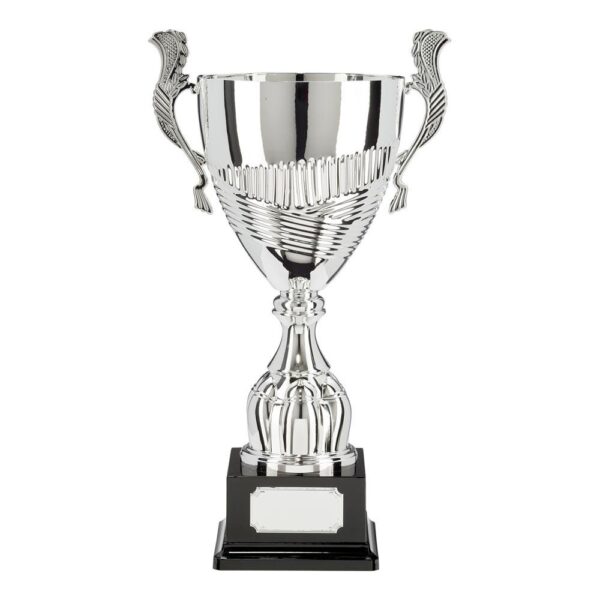 Champion Silver Super Cup - Cornish Custom Creations