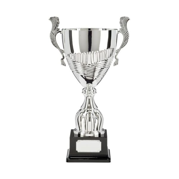 Champion Silver Super Cup - Cornish Custom Creations