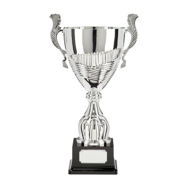 Champion Silver Super Cup - Cornish Custom Creations