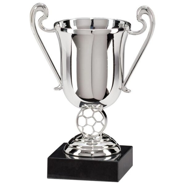 Champions Silver Plastic Cup - Cornish Custom Creations