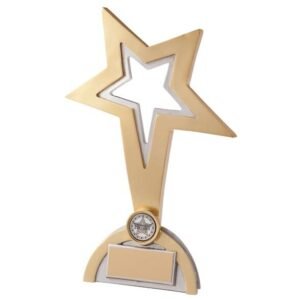 Classic Star Achievement Award - Engrave Express