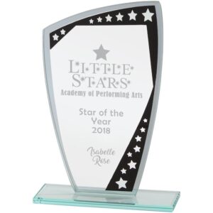 Cosmic Mirror Glass Award Black & Silver - Cornish Custom Creations