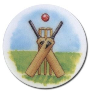 Cricket Bats & Stumps - Cornish Custom Creations