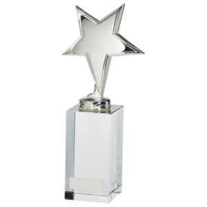 Dallas Crystal & Chrome Award - Cornish Custom Creations