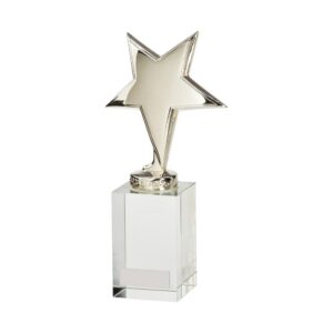 Dallas Crystal & Chrome Award - Cornish Custom Creations