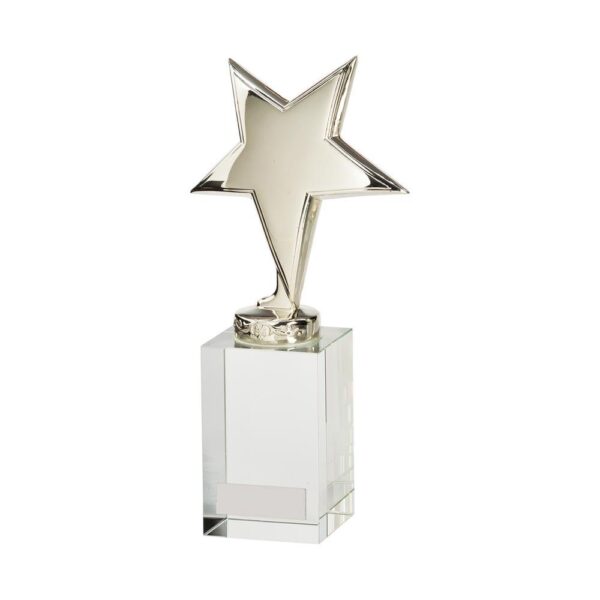 Dallas Crystal & Chrome Award - Cornish Custom Creations