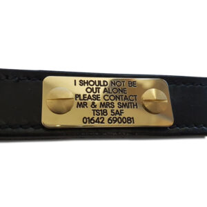 Deeply engraved brass dog ID nameplate, fixes directly to collar. 50mm x 20mm - Cornish Custom Creations