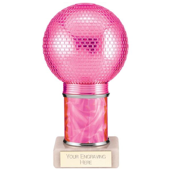 Disco Inferno Tube Trophy Pink - Cornish Custom Creations