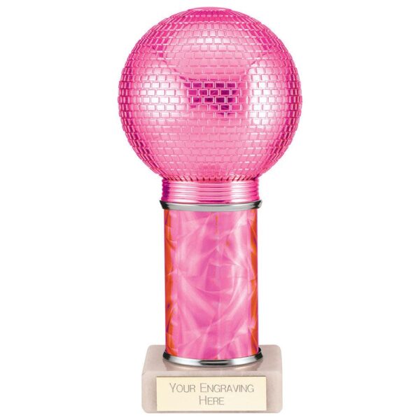 Disco Inferno Tube Trophy Pink - Cornish Custom Creations