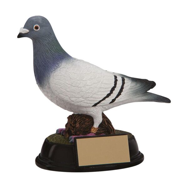 Elite Pigeon Racing Award - Engrave Express