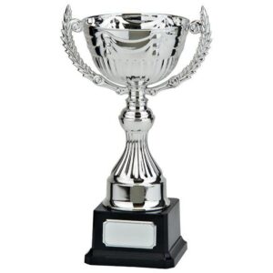 Endeavour Silver Cup - Cornish Custom Creations