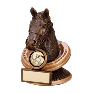 Endurance Equestrian Horse Head Award - Engrave Express