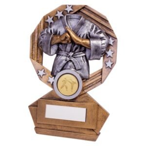 Enigma Martial Arts Award - Engrave Express