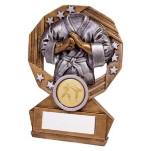 Enigma Martial Arts Award - Engrave Express