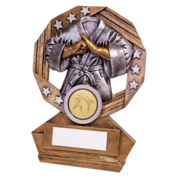 Enigma Martial Arts Award - Engrave Express