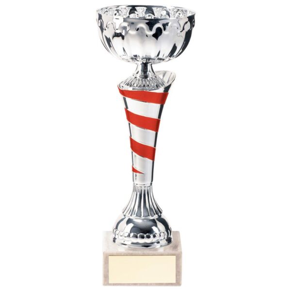 Eternity Cup Silver & Red - Cornish Custom Creations