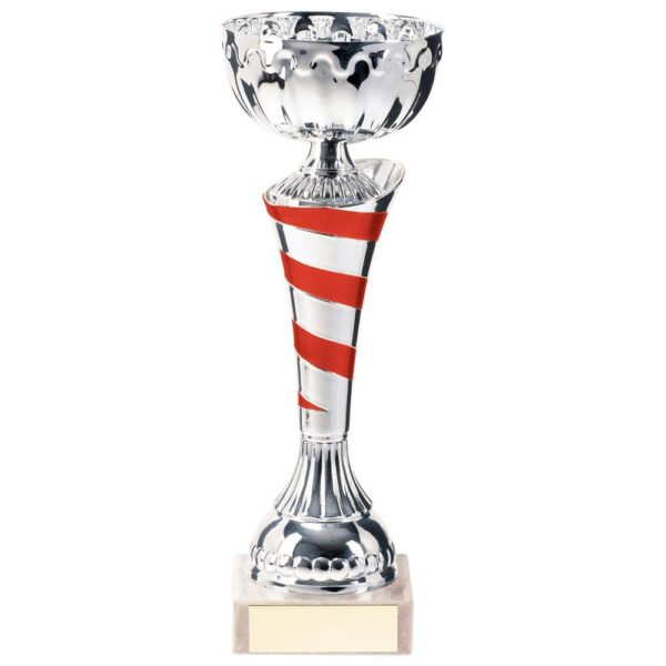 Eternity Cup Silver & Red - Cornish Custom Creations