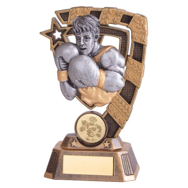 Euphoria Boxing Award - Cornish Custom Creations