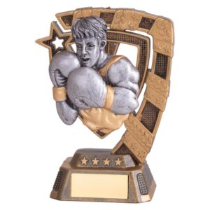 Euphoria Boxing Award - Cornish Custom Creations