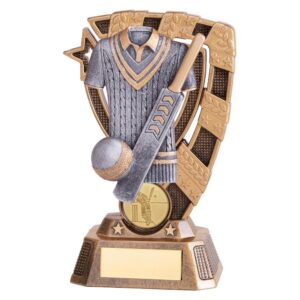 Euphoria Cricket Award - Cornish Custom Creations