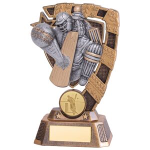 Euphoria Cricket Player Award - Cornish Custom Creations