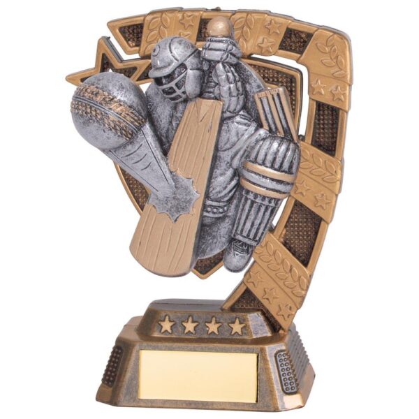 Euphoria Cricket Player Award - Cornish Custom Creations