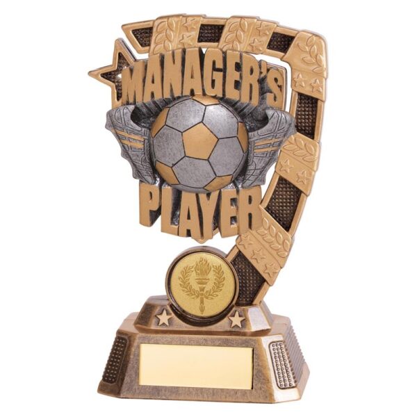 Euphoria Football Managers Player Award - Cornish Custom Creations