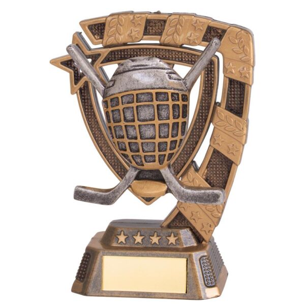 Euphoria Ice Hockey Award - Engrave Express