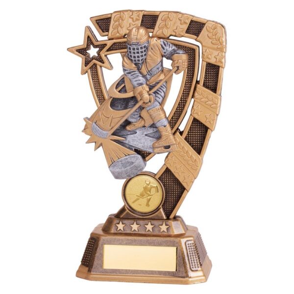 Euphoria Ice Hockey Player Award - Engrave Express