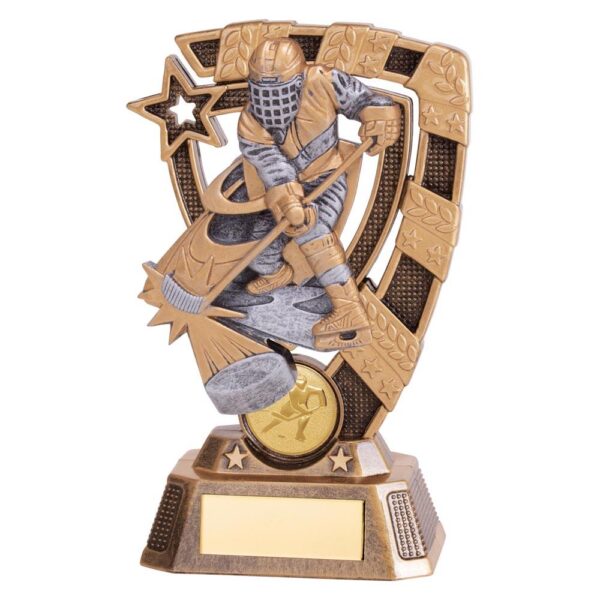 Euphoria Ice Hockey Player Award - Engrave Express