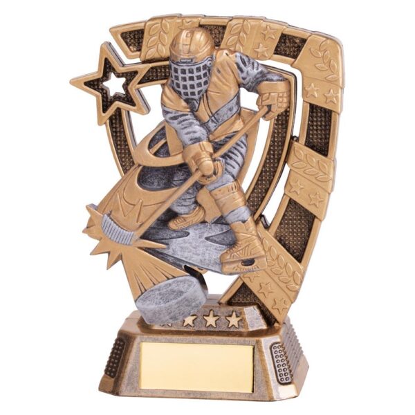 Euphoria Ice Hockey Player Award - Engrave Express