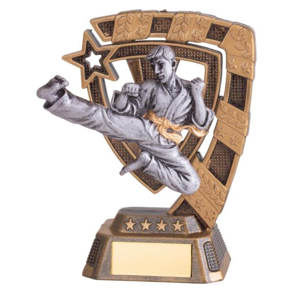 Euphoria Judo Award - Engrave Express