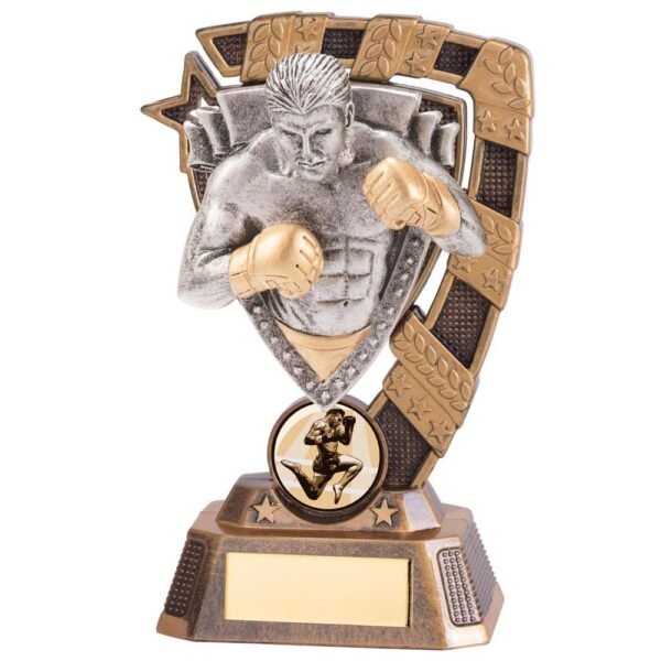 Euphoria MMA Award 150mm - Engrave Express