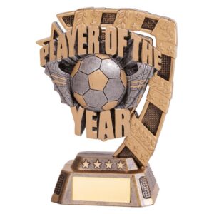 Euphoria Player of The Year Award - Cornish Custom Creations