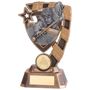 Euphoria Snooker Male Player Award - Cornish Custom Creations