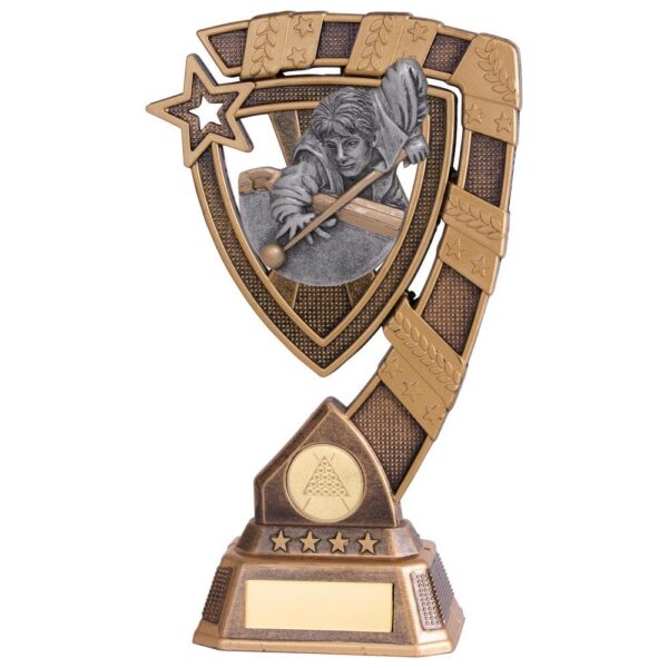 Euphoria Snooker Male Player Award - Cornish Custom Creations