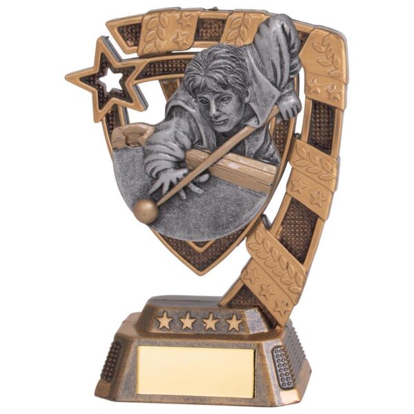 Euphoria Snooker Male Player Award - Cornish Custom Creations